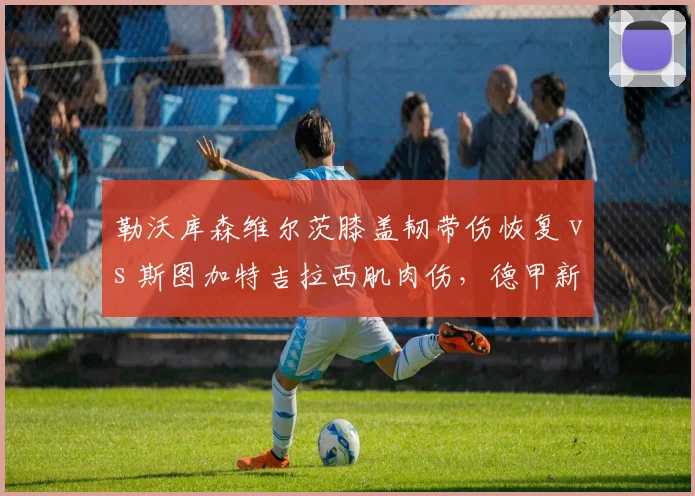 勒沃库森维尔茨膝盖韧带伤恢复 vs 斯图加特吉拉西肌肉伤，德甲新星伤病影响球队新赛季走势